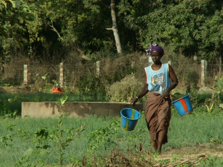 womengarden
